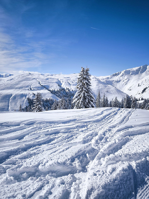 person snowboarding